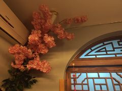 -泡桐树孙二娘私房菜