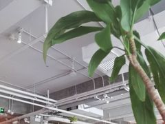 -the rug 飞毯 (朝阳公园店)