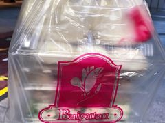 -白玉兰食品(甜云店)