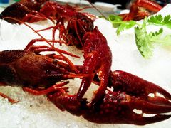 -宁海食府(大剧院店)