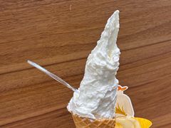 -野人先生现做冰淇淋(北京环宇荟店)