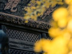 -大觉寺-停车场