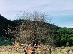 -硗碛藏寨·神木垒景区