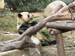 -常州淹城野生动物世界
