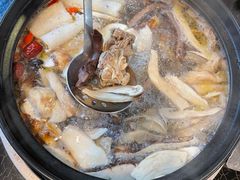 -蘑统田下·野生菌火锅