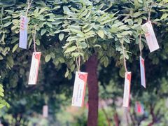 -伊顿幼儿园(天津壹街区校区)