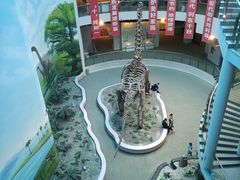 -辽宁古生物博物馆