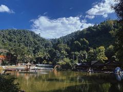 -西双版纳原始森林公园