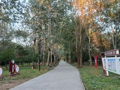 -廊坊市自然公园