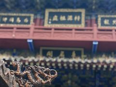 -青龙山生态文化旅游区