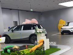 -上海浦东smart汽车全功能店(金桥店)