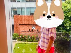 -香港大学