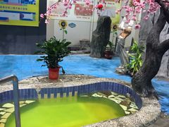 -兴芮温泉度假区