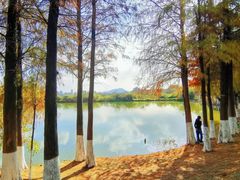 -松山湖风景区松湖烟雨