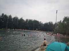 -柳浪游泳场