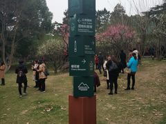 景点-解放公园