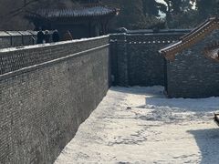 -北陵公园