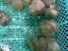 -渔傅·蓝海岸霞浦海鲜(正祥店)