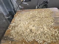 -沙湾姜埋奶(兴新包店)