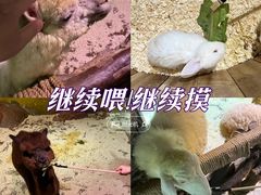 -正佳雨林生态植物园