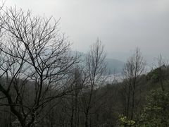 -茶颜悦色(岳麓山顶店)