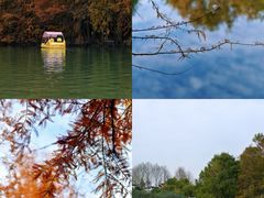 -上海海湾国家森林公园