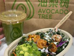-油梨树AVOCADO TREE(望京店)