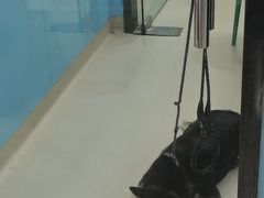 -天宠宠物医院24小时·急重症诊疗中心·全科·腔镜特色(和平分院)