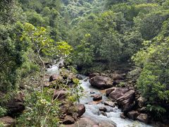 -广州白江湖森林公园