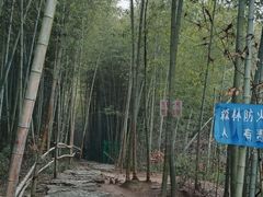 -石塘人家