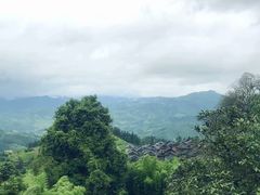 -顺峰山公园