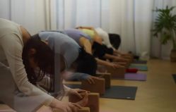 -YogaTime瑜伽时光