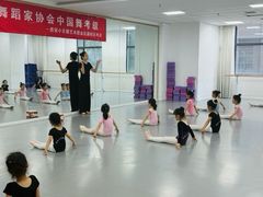 -西安小天鹅艺术团(金花路校区)