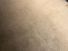 -解家河南菜(金水路店)