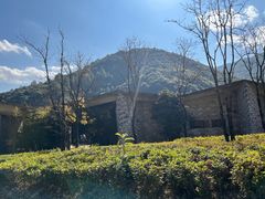 -腾冲云峰山