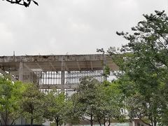 -羊山湖公园