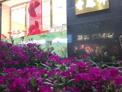 -沈家门渔港