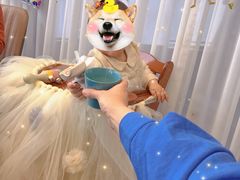 -荷塘秋月·本帮江浙菜(国权路店)