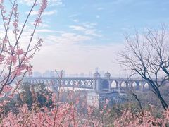 -龟山风景区-龟山电视塔