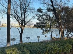 -金鸡湖桃花岛
