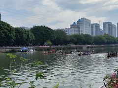 -光明港公园