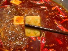 -东镇老火锅(长春路首店)