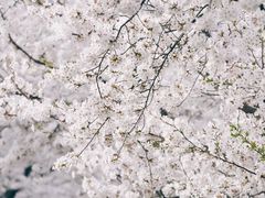 -龙美术馆(西岸馆)