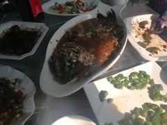 -阿巧茶庄
