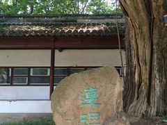 -苏州文庙(姑苏区)