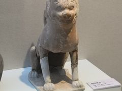 -安阳博物馆