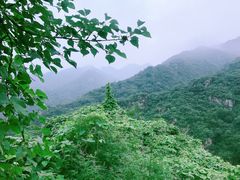 -Local泰莲庭(虹鳟鱼店)