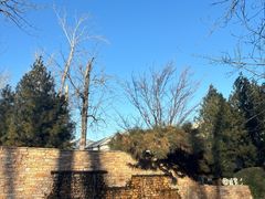 -禧宴Joyous Restaurant(禧园店)