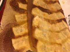 大肉虾仁锅贴-海荣锅贴馆(五味十字店)