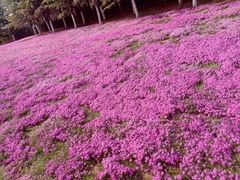 -观唐（国际）度假村温泉